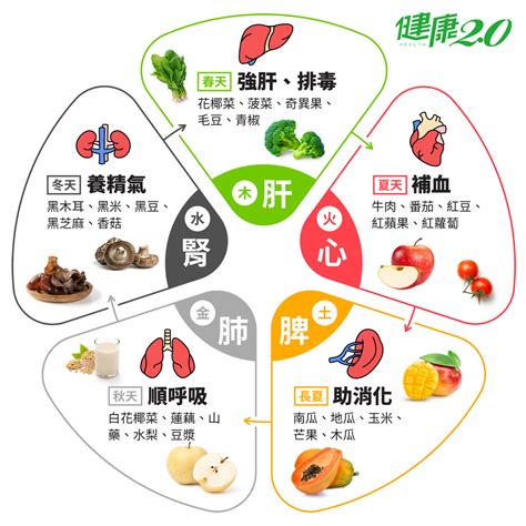 五行屬金的食物|藥補不如食補！吃這『五色』食物養五臟